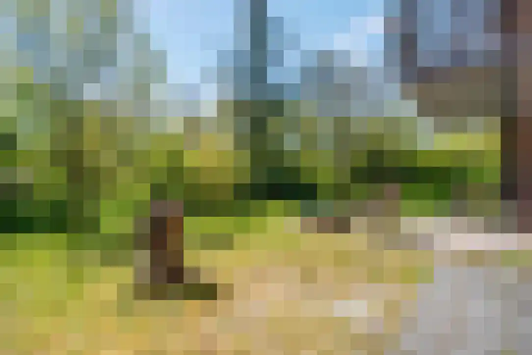 Duinkersoord 94 A Vlieland thumbnail 7