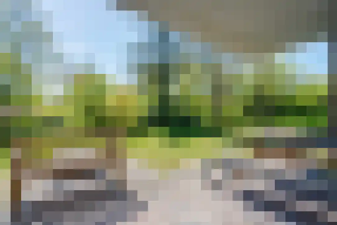 Duinkersoord 94 A Vlieland thumbnail 8