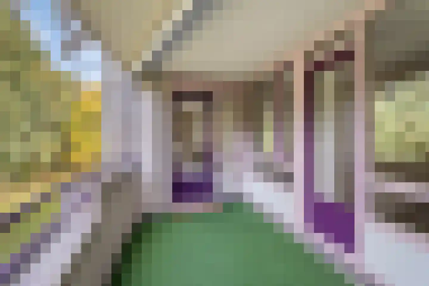 Duinlaan 101 Son en Breugel thumbnail 21
