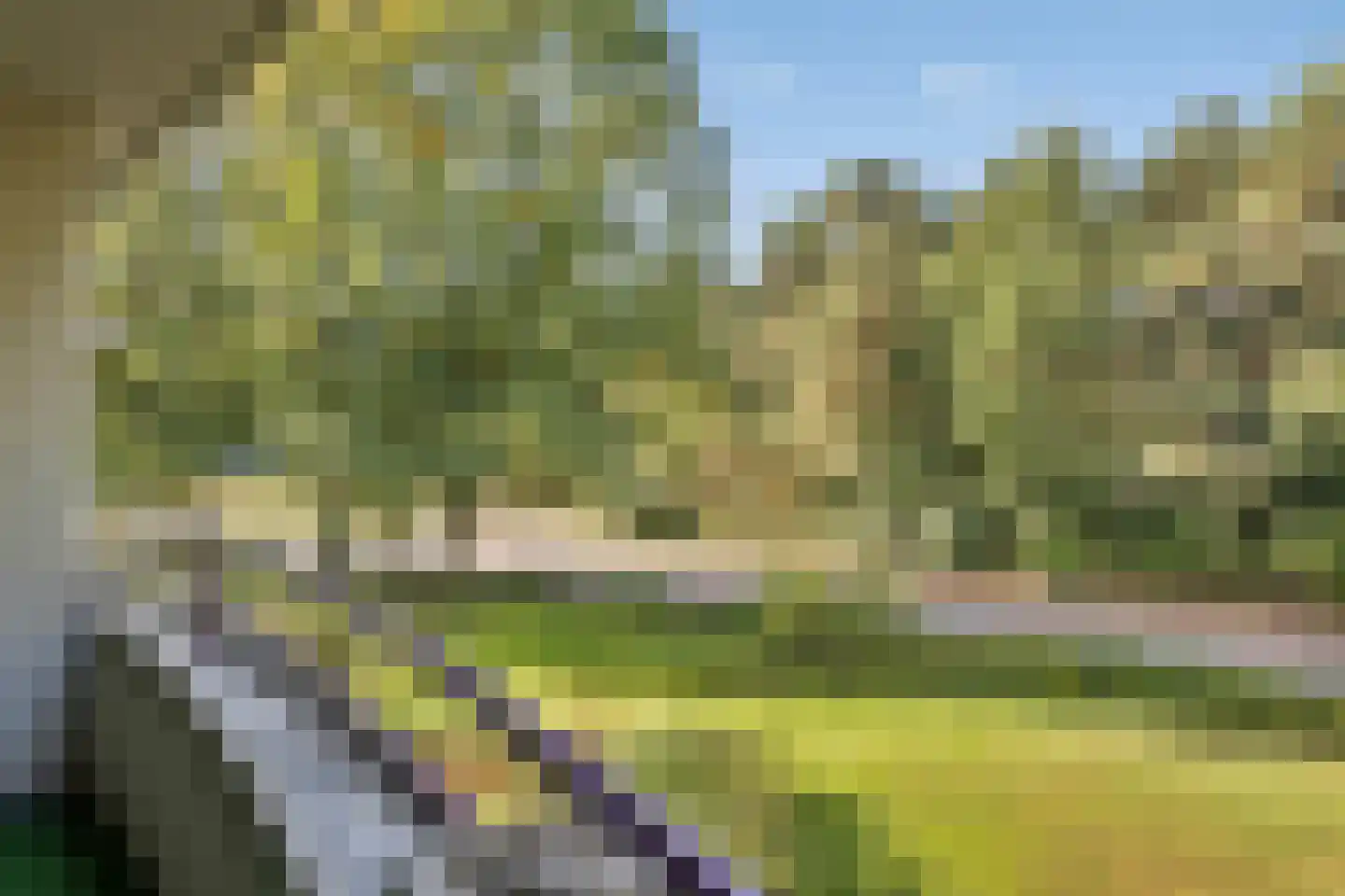 Duinlaan 101 Son en Breugel thumbnail 22