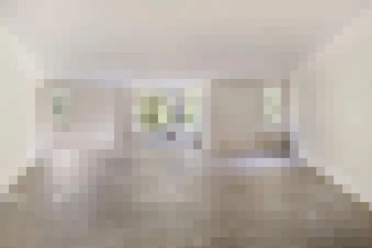 Duinlaan 101 Son en Breugel foto 3