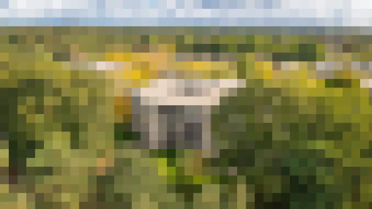 Duinlaan 101 Son en Breugel thumbnail 34