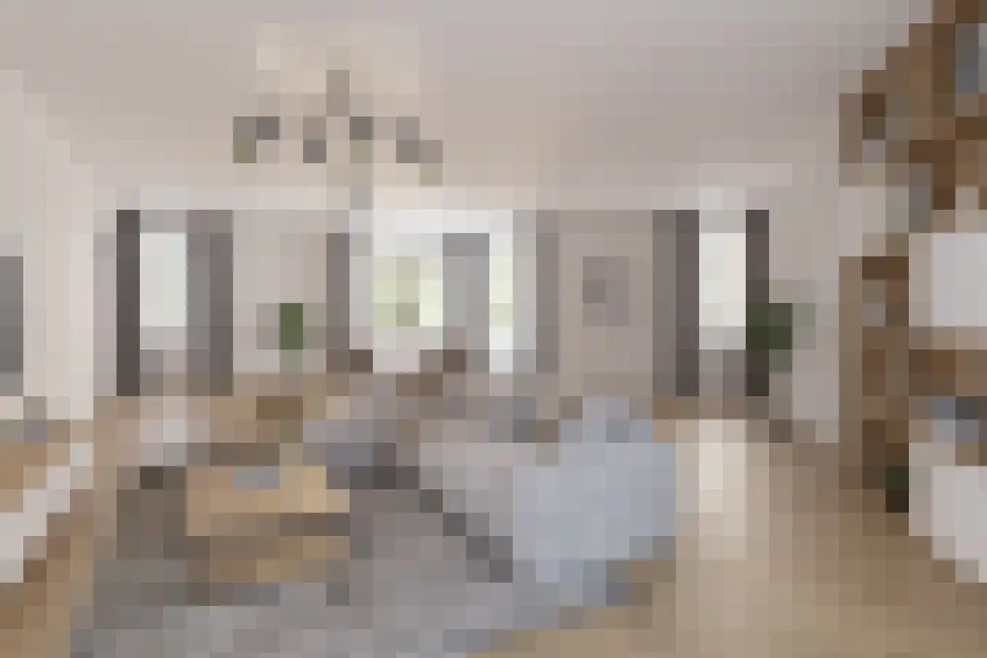 Duinlaan 101 Son en Breugel thumbnail 4