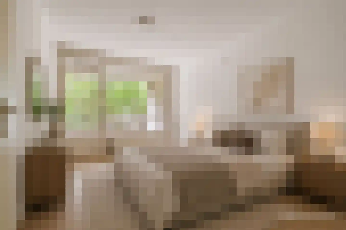 Duinlaan 103 Son en Breugel thumbnail 6