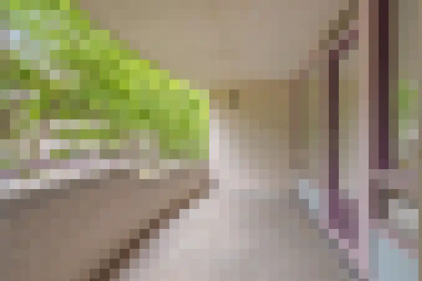 Duinlaan 103 Son en Breugel thumbnail 8