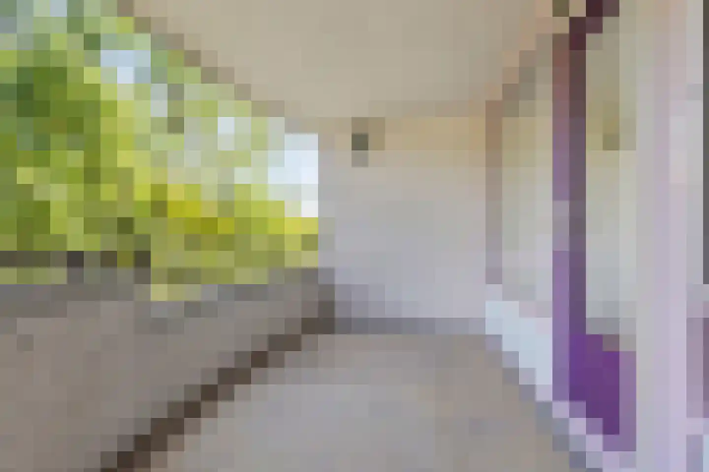 Duinlaan 107 Son en Breugel thumbnail 8