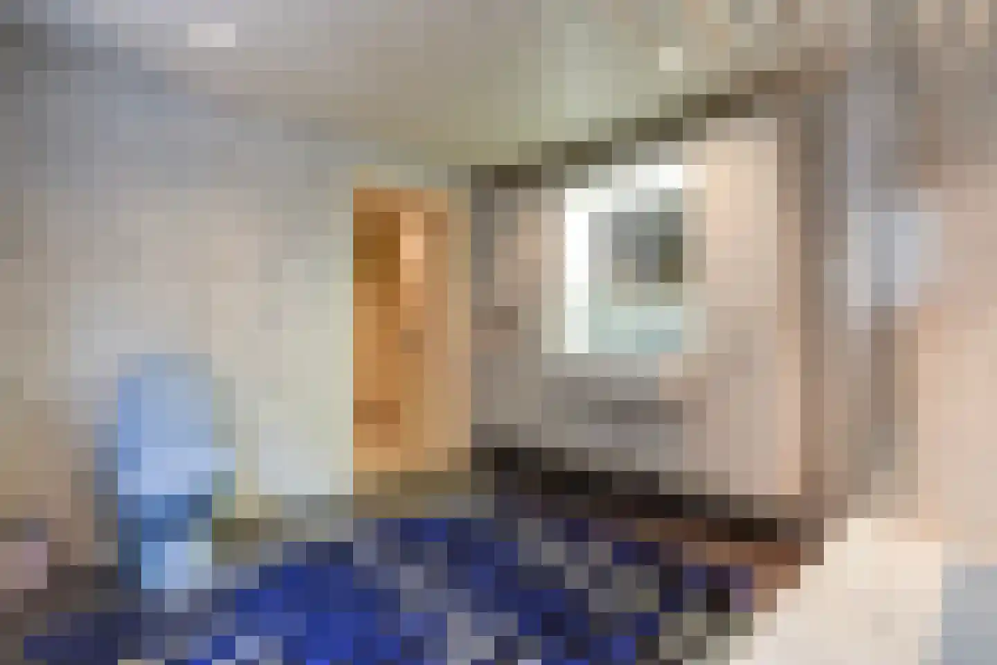 Duinlaan 127 Den Haag thumbnail 47