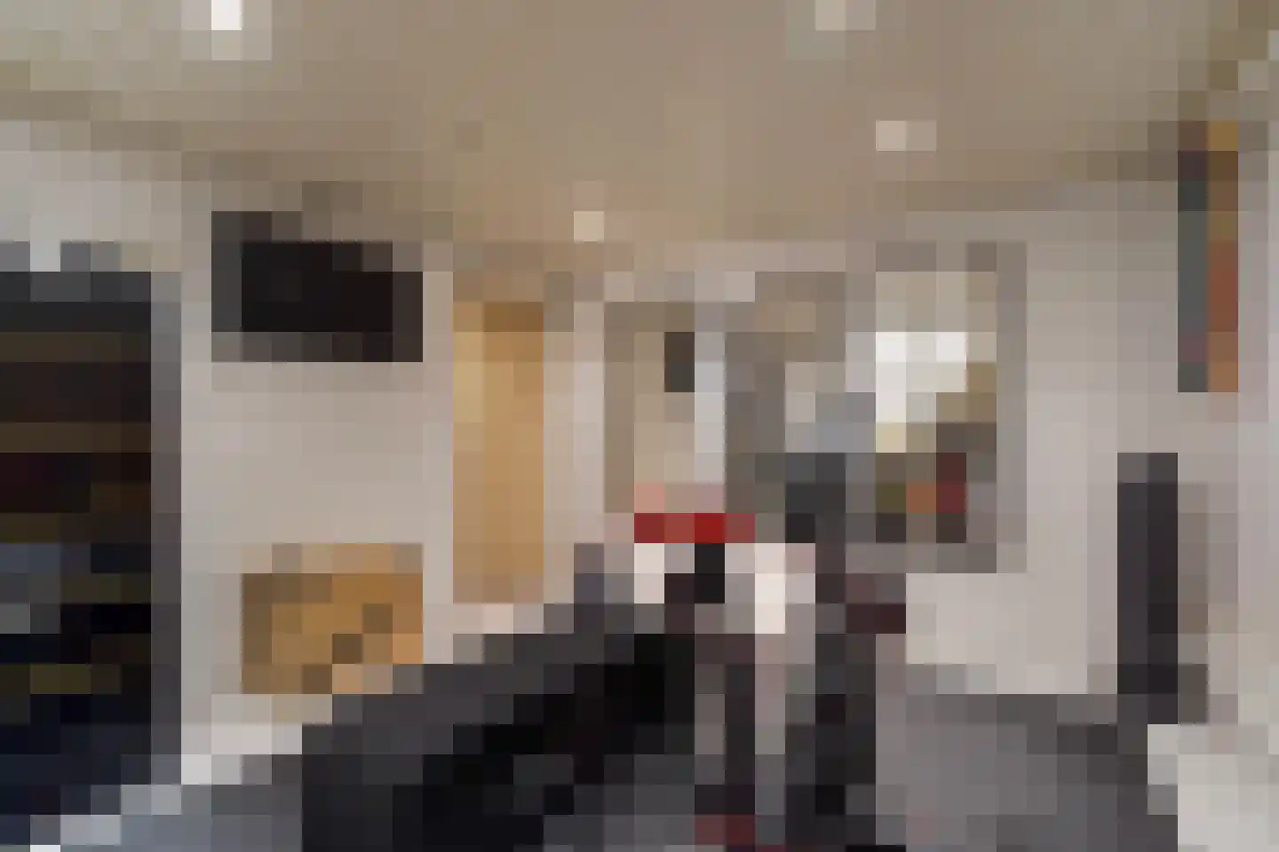 Duinlaan 127 Den Haag thumbnail 50