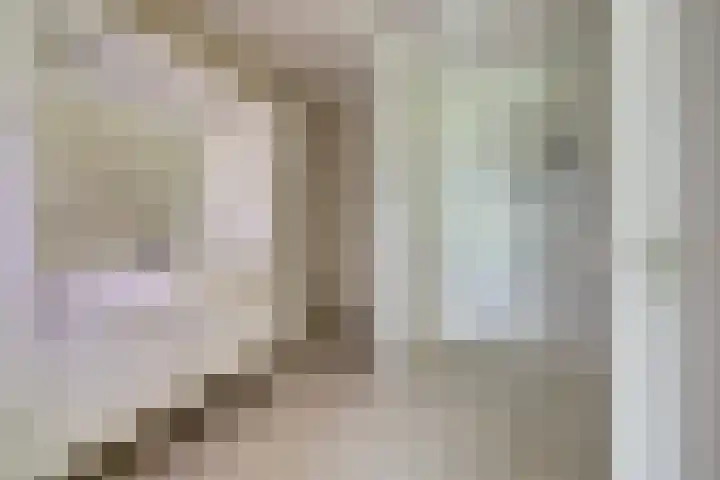 Duinlaan 129 Son en Breugel thumbnail 31