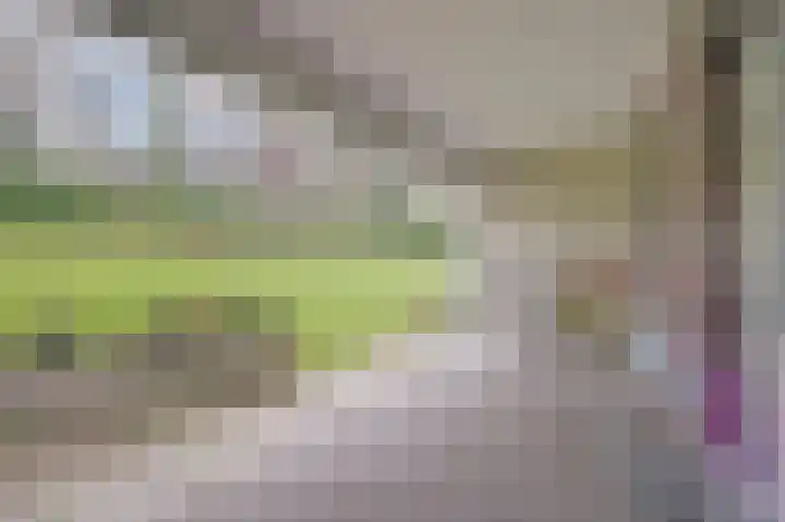 Duinlaan 129 Son en Breugel thumbnail 38