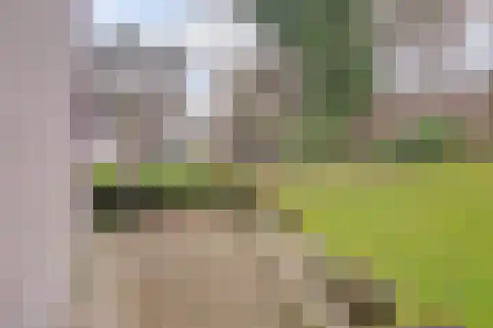 Duinlaan 129 Son en Breugel thumbnail 39