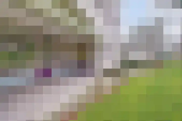 Duinlaan 129 Son en Breugel thumbnail 40