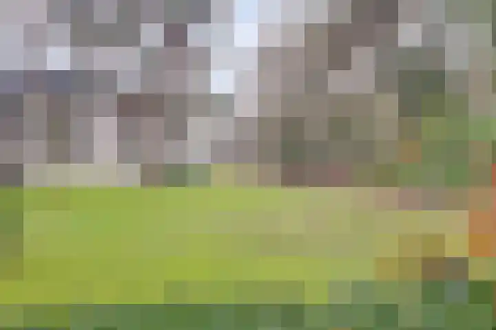 Duinlaan 129 Son en Breugel thumbnail 45