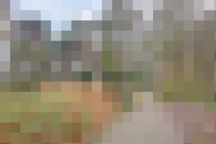 Duinlaan 129 Son en Breugel thumbnail 46