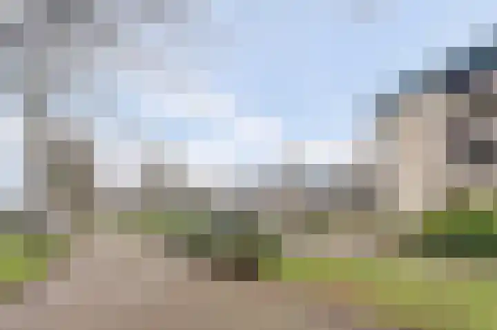 Duinlaan 129 Son en Breugel thumbnail 8
