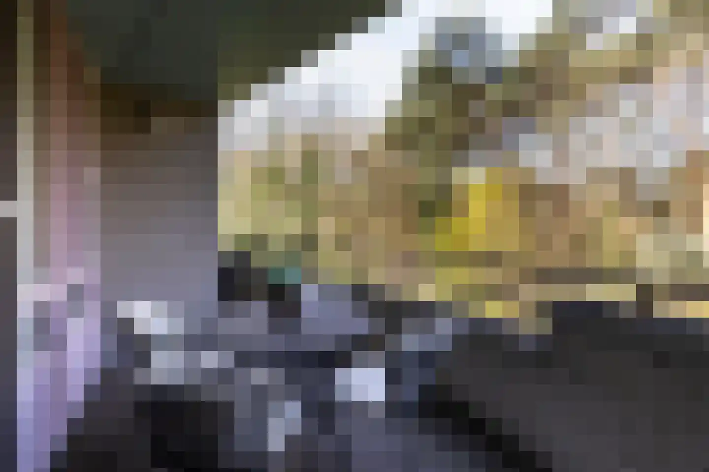 Duinlaan 173 Son en Breugel thumbnail 58