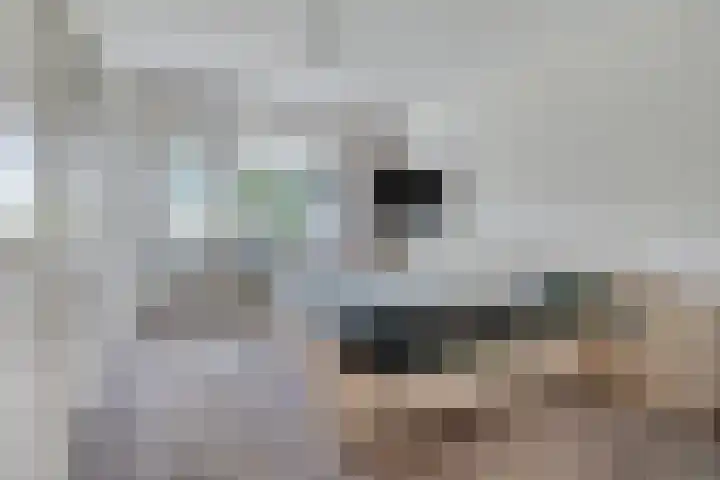 Duinlaan 23 Son en Breugel thumbnail 25
