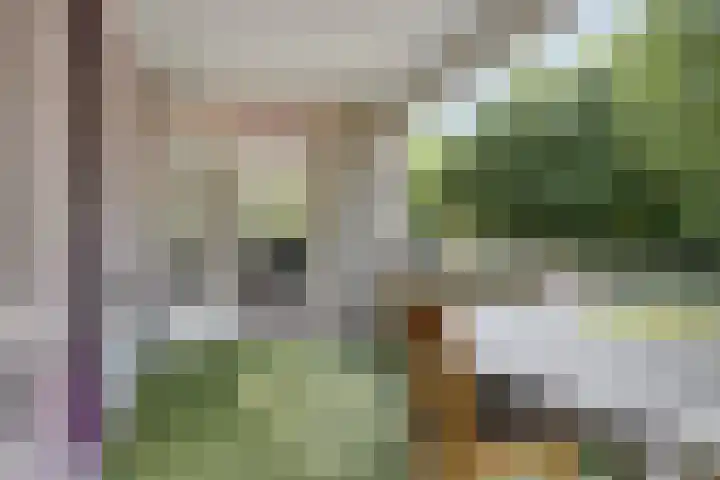 Duinlaan 23 Son en Breugel thumbnail 30