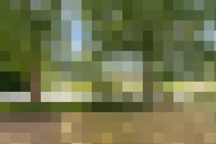 Duinlaan 23 Son en Breugel thumbnail 31