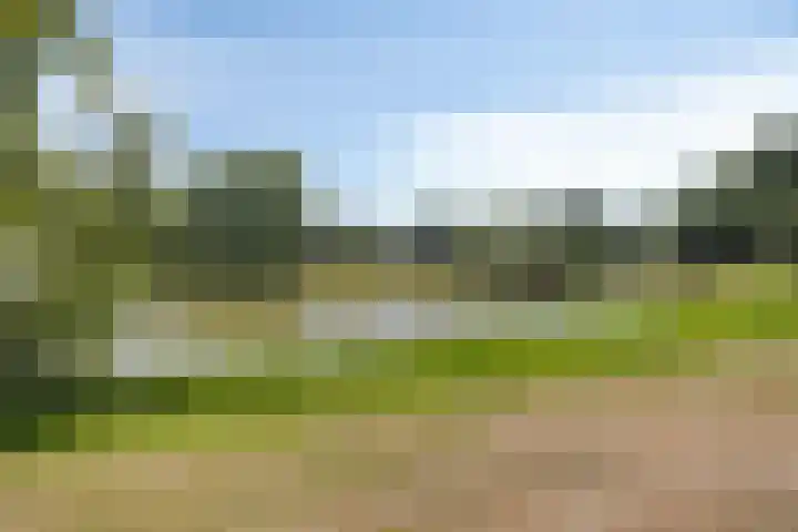 Duinlaan 23 Son en Breugel thumbnail 32
