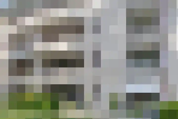 Duinlaan 23 Son en Breugel thumbnail 4