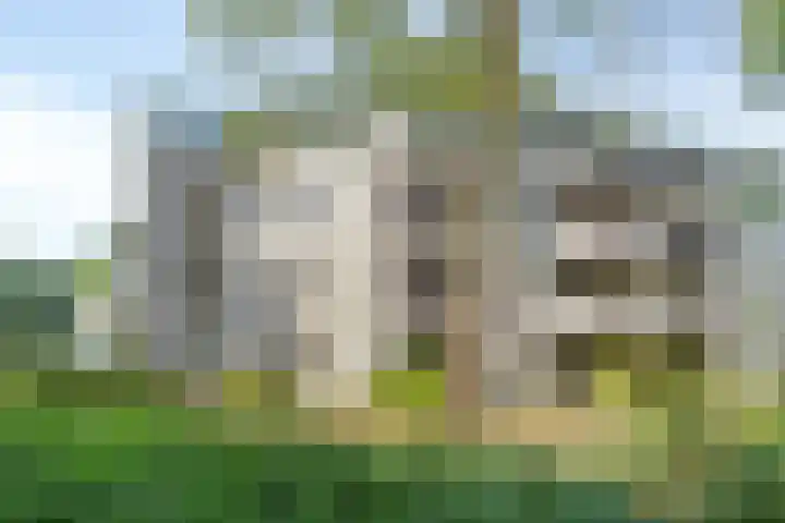 Duinlaan 23 Son en Breugel thumbnail 7