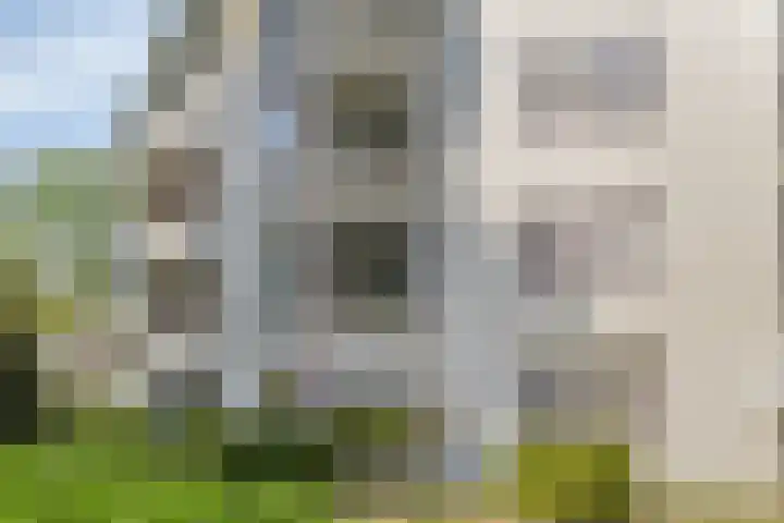 Duinlaan 23 Son en Breugel thumbnail 8