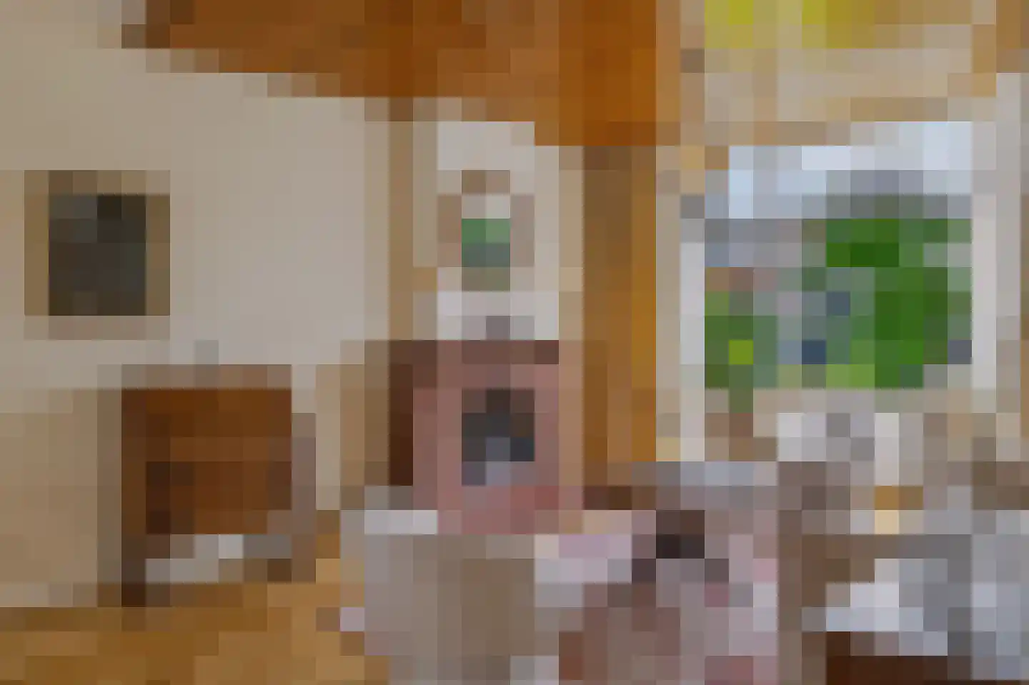 Duinlaan 3 Bennebroek thumbnail 15