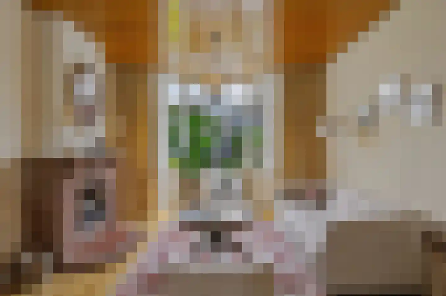 Duinlaan 3 Bennebroek thumbnail 17