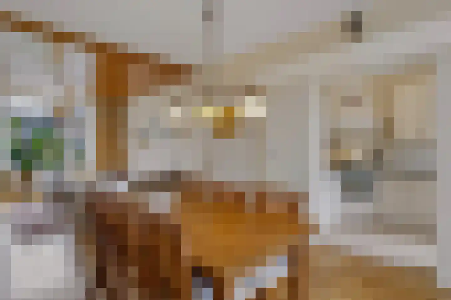 Duinlaan 3 Bennebroek thumbnail 20