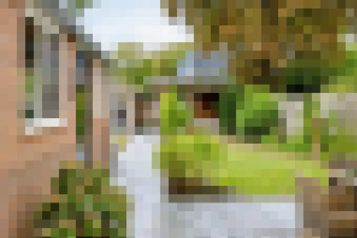 Duinlaan 3 Bennebroek thumbnail 23