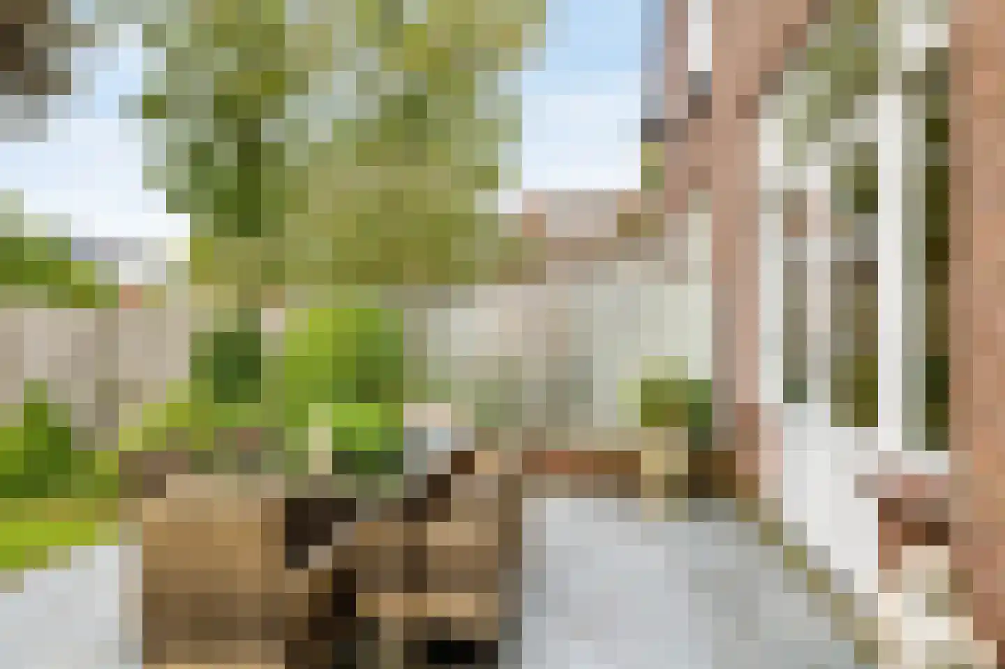 Duinlaan 3 Bennebroek thumbnail 24