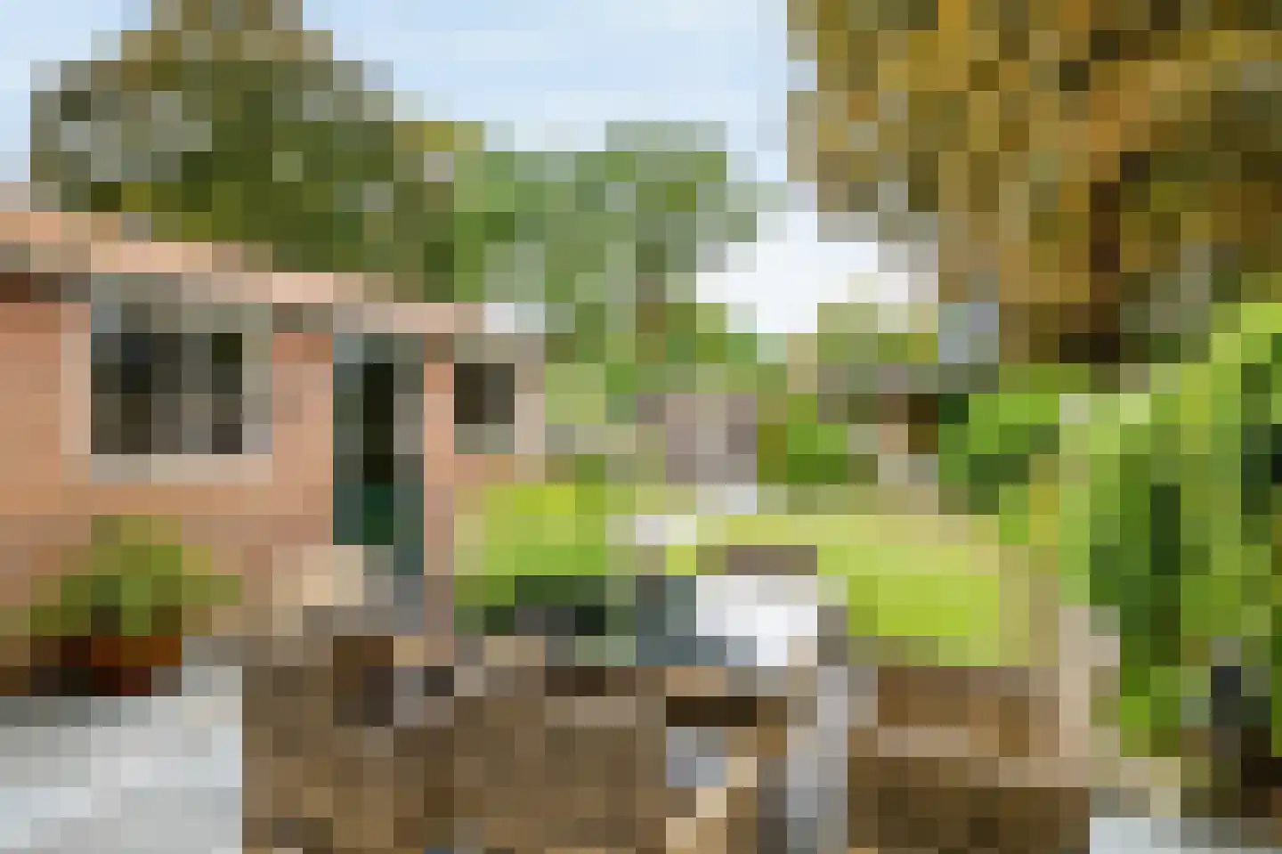 Duinlaan 3 Bennebroek thumbnail 25