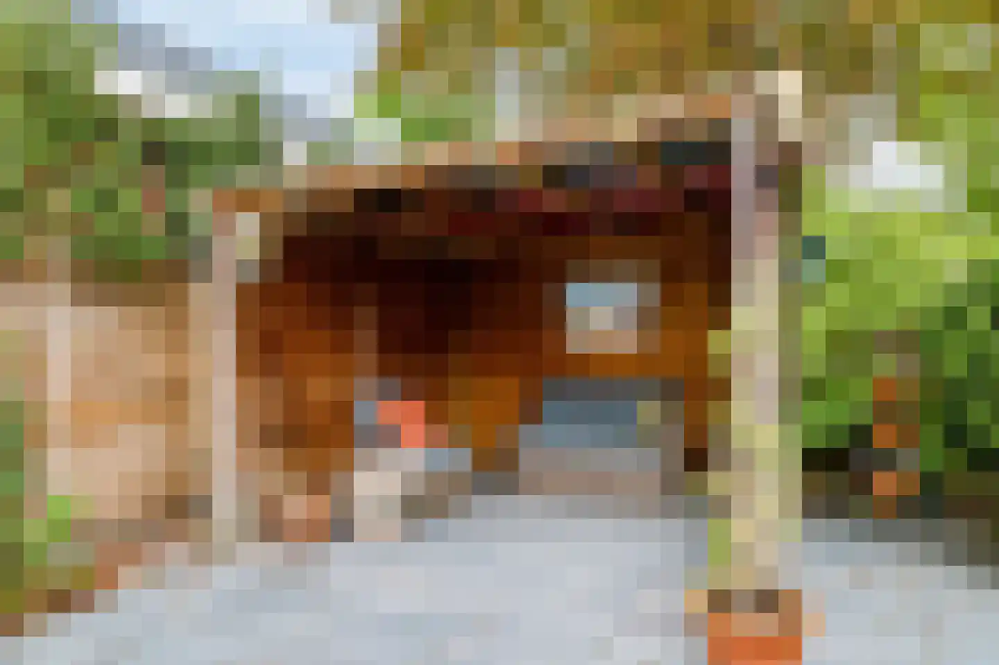 Duinlaan 3 Bennebroek thumbnail 27