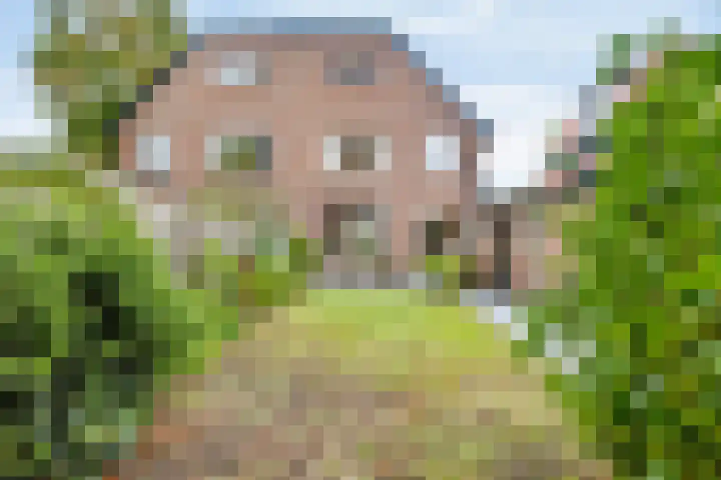 Duinlaan 3 Bennebroek thumbnail 28