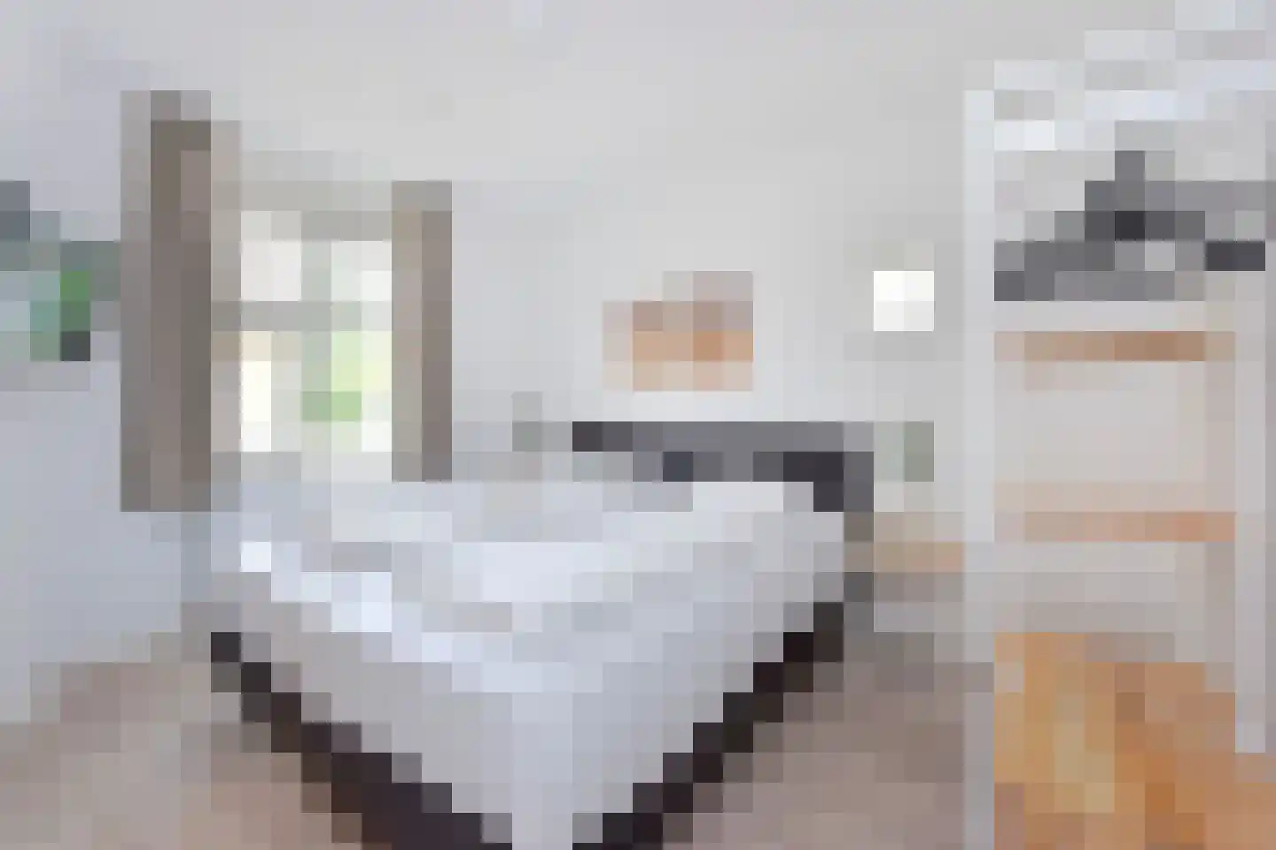 Duinlaan 5 H 503 Kaatsheuvel thumbnail 19