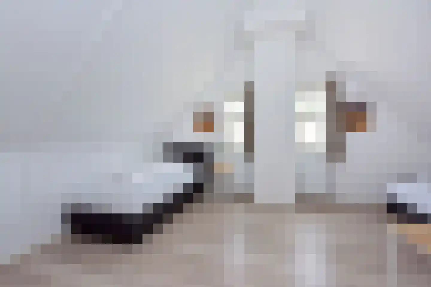 Duinlaan 5 H 503 Kaatsheuvel thumbnail 27