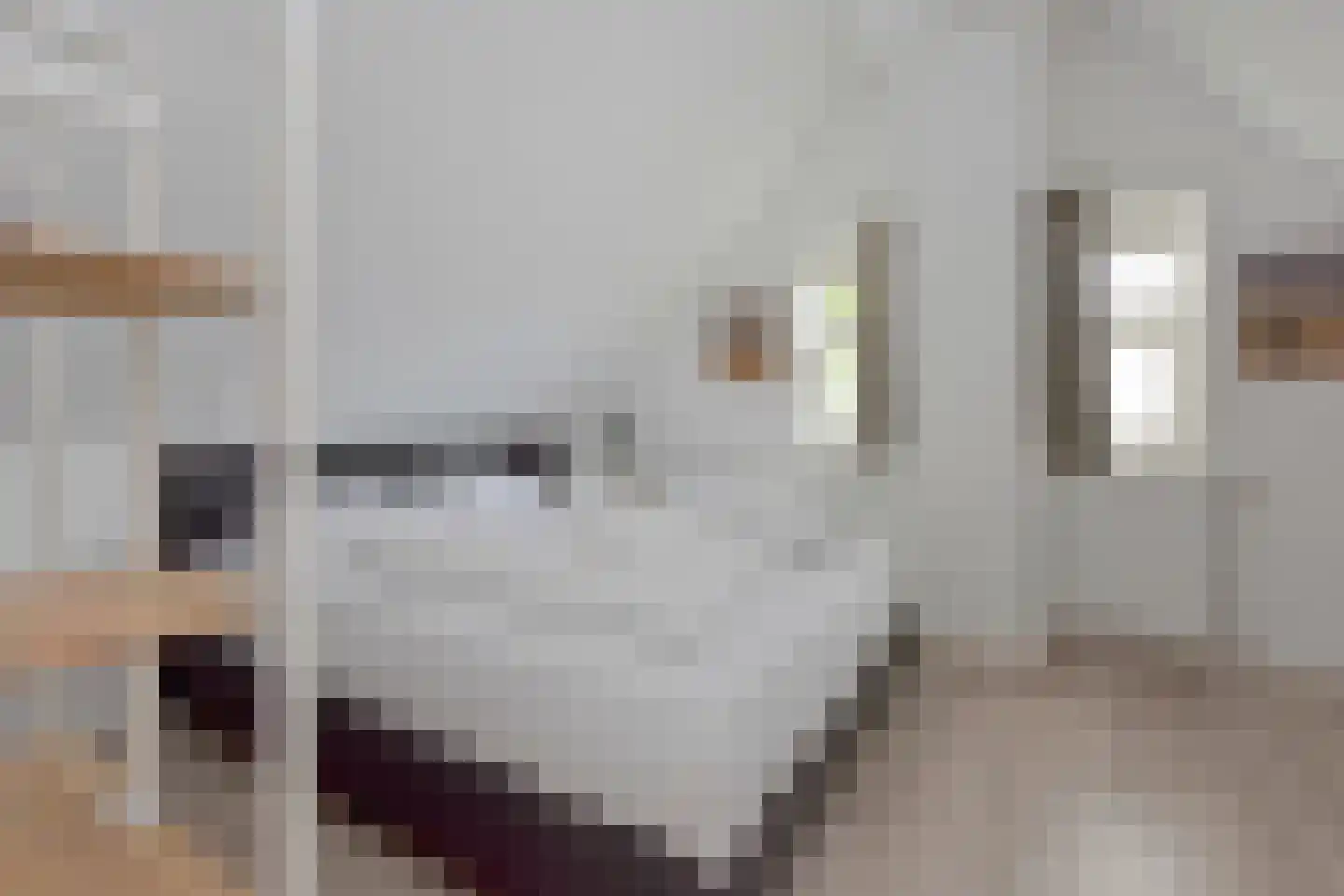 Duinlaan 5 H 812 Kaatsheuvel thumbnail 15