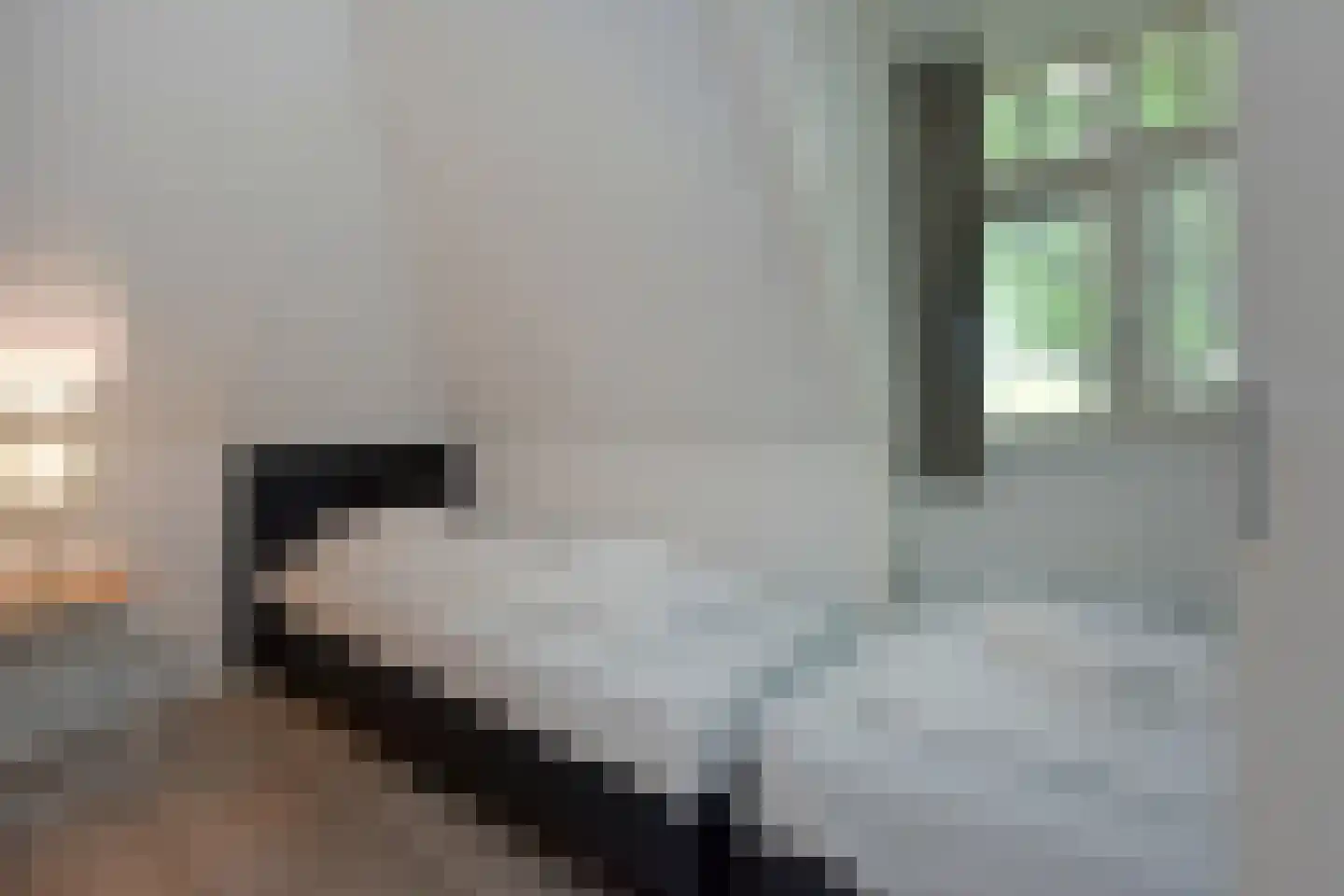 Duinlaan 5 H 812 Kaatsheuvel thumbnail 19