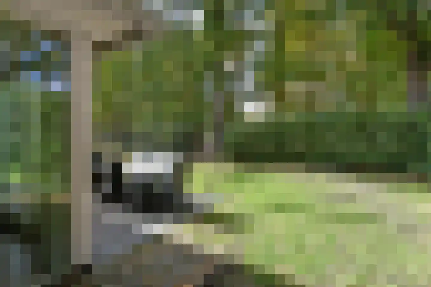 Duinlaan 5 H 812 Kaatsheuvel thumbnail 23