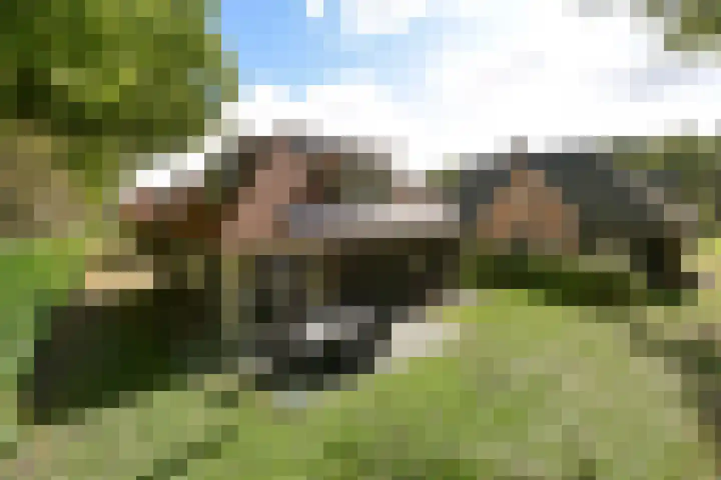 Duinlaan 5 H 812 Kaatsheuvel thumbnail 24