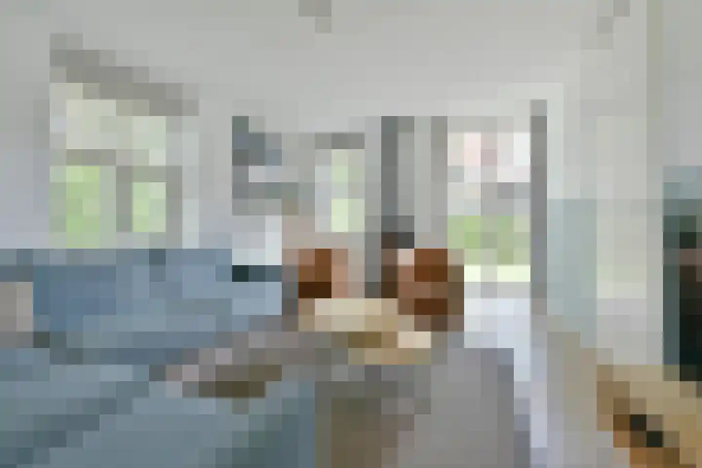 Duinlaan 5 H 812 Kaatsheuvel thumbnail 6
