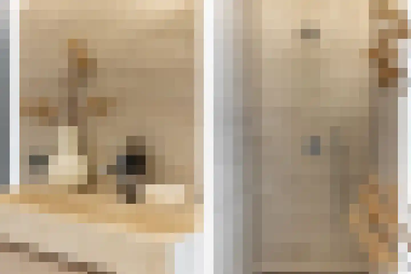 Duinlaan 5 Oostvoorne thumbnail 31