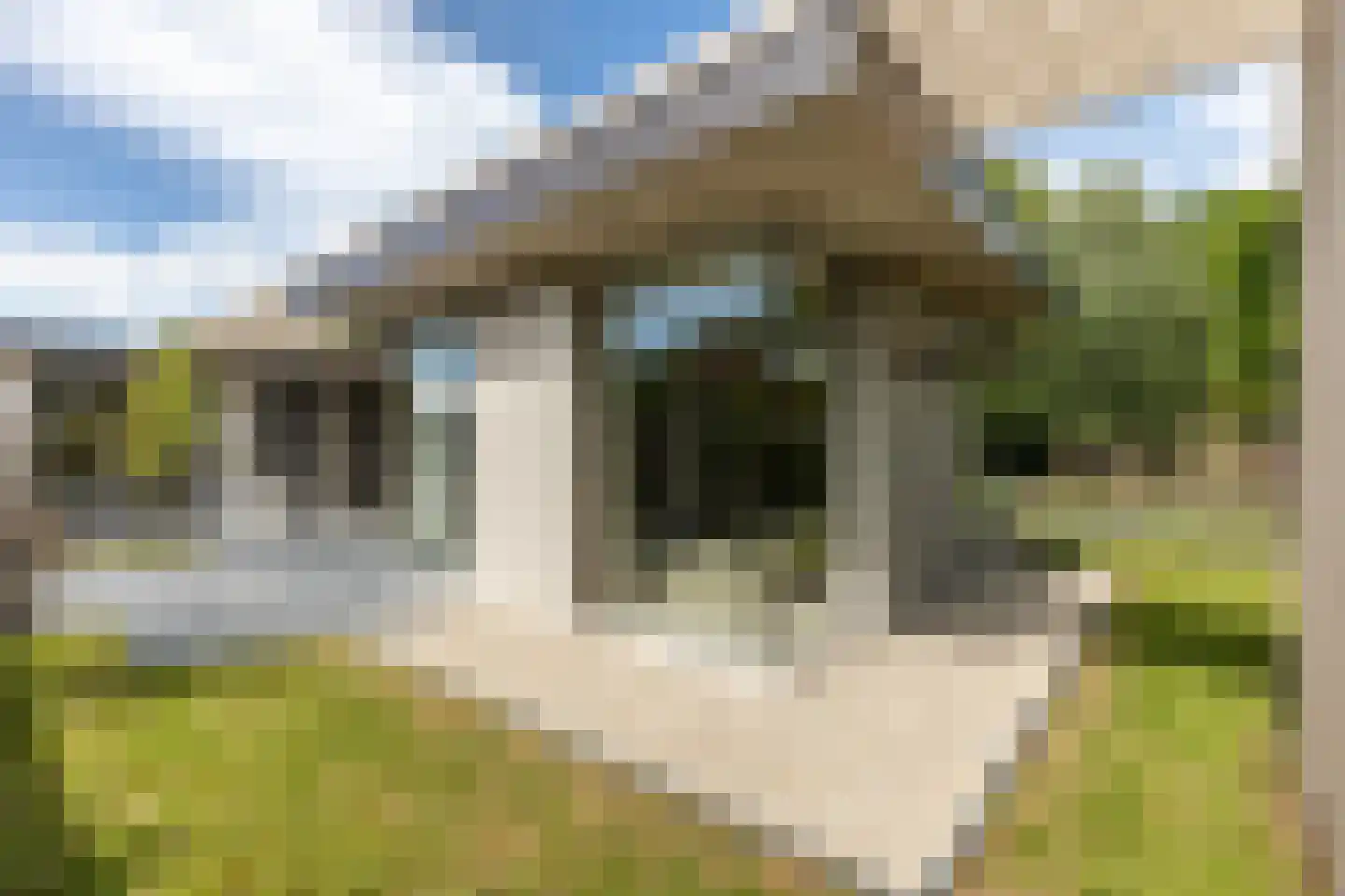 Duinlaan 5 Oostvoorne thumbnail 44