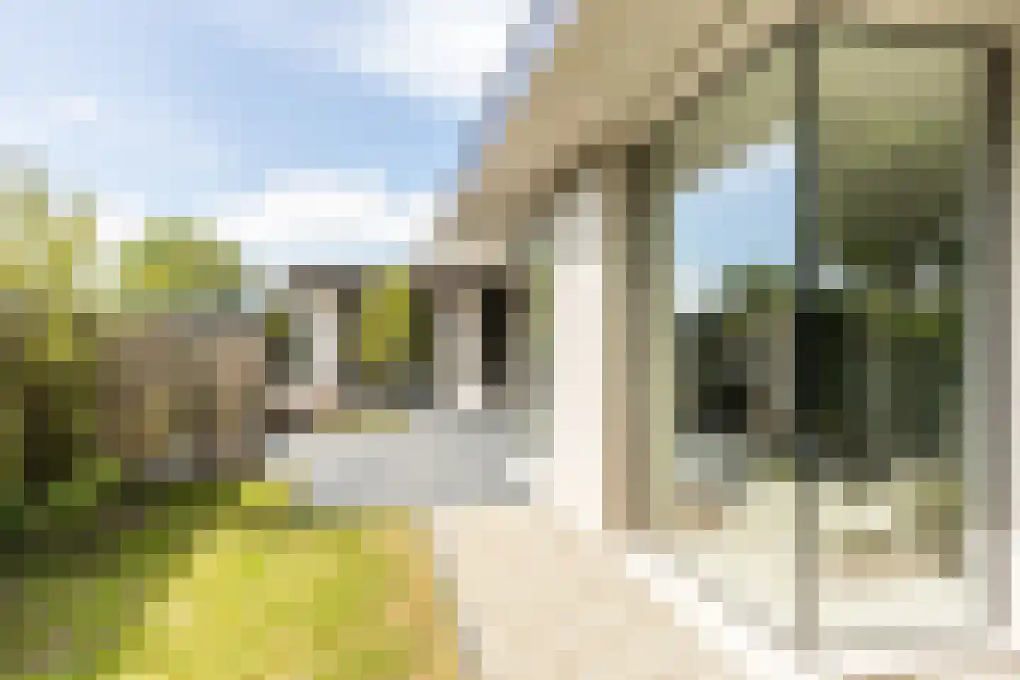 Duinlaan 5 Oostvoorne thumbnail 45