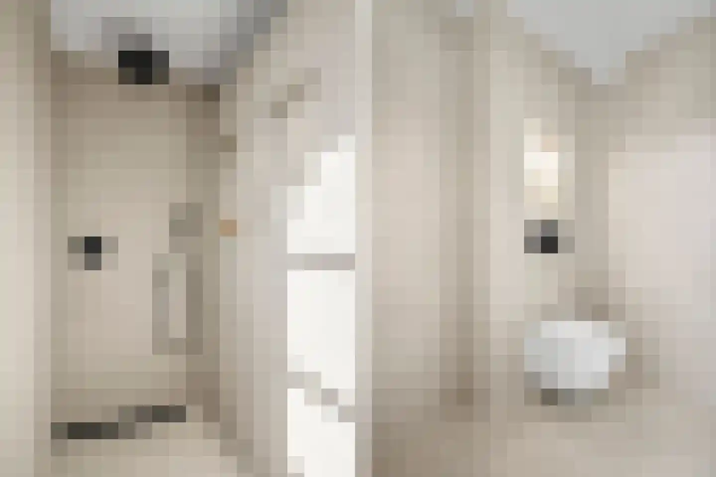 Duinland 14 Waddinxveen thumbnail 10