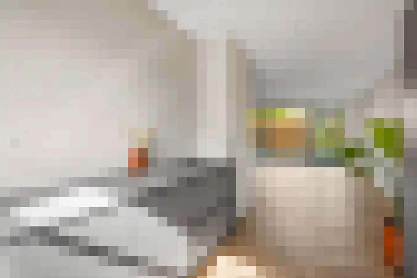 Duinland 14 Waddinxveen thumbnail 11