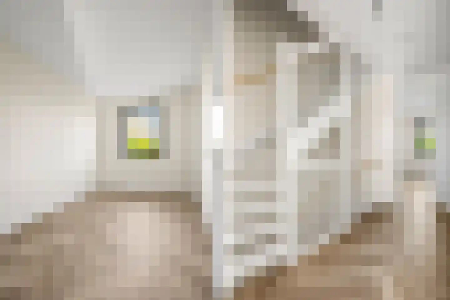 Duinland 14 Waddinxveen thumbnail 13
