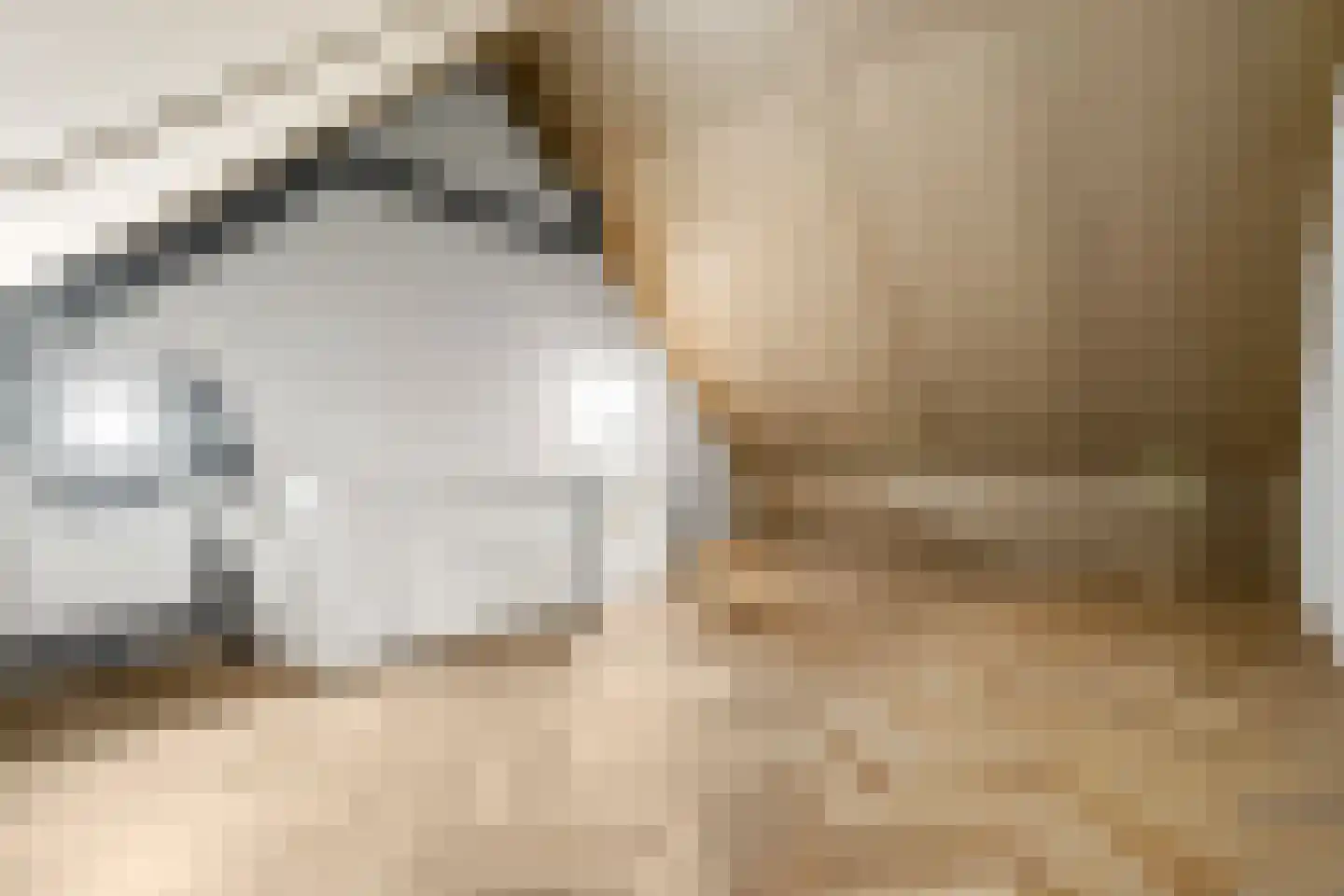 Duinland 14 Waddinxveen thumbnail 23
