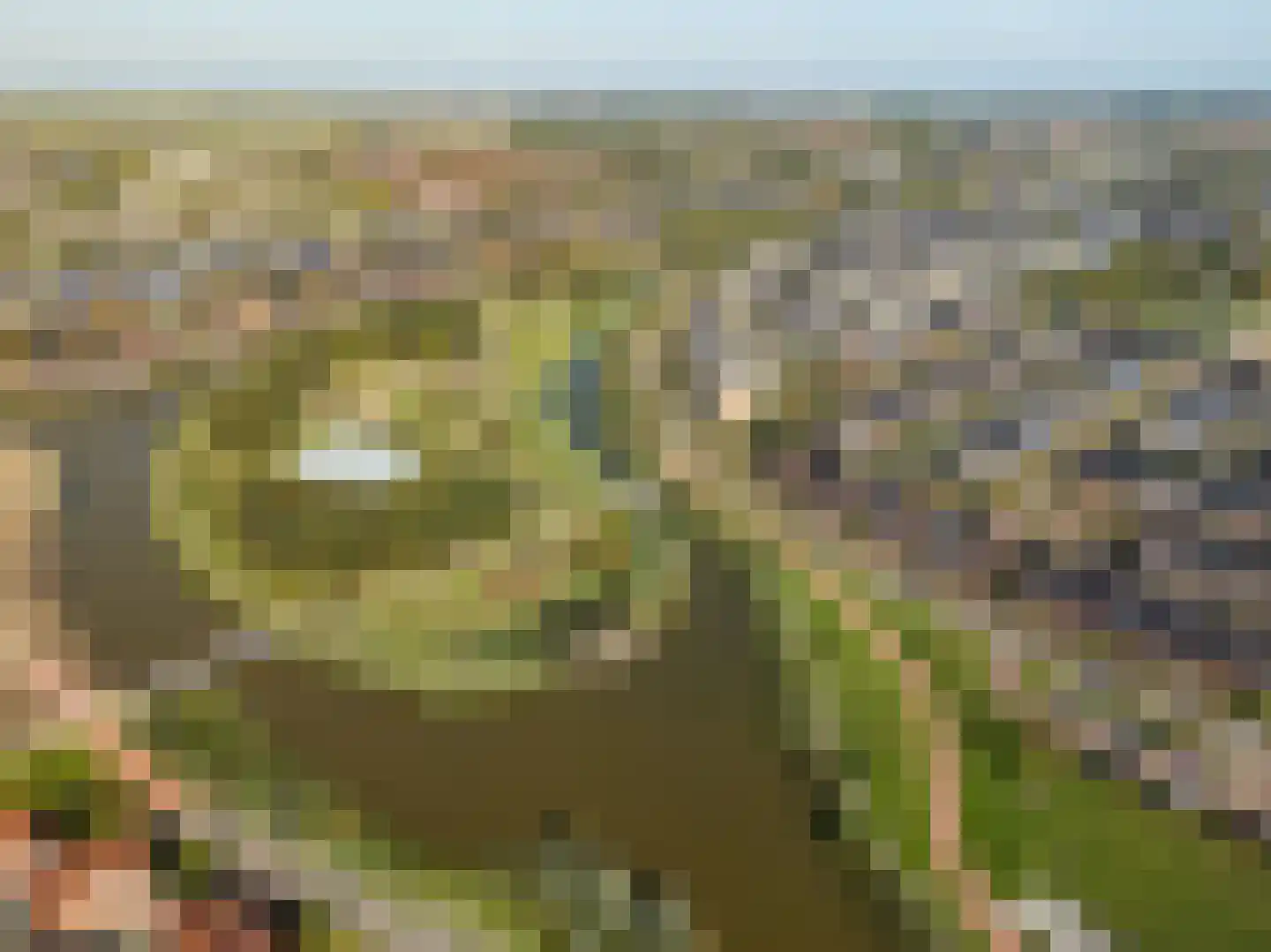 Duinland 14 Waddinxveen thumbnail 38